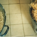 oldfashioned-washing