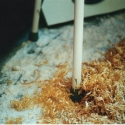 wood-salt-stool